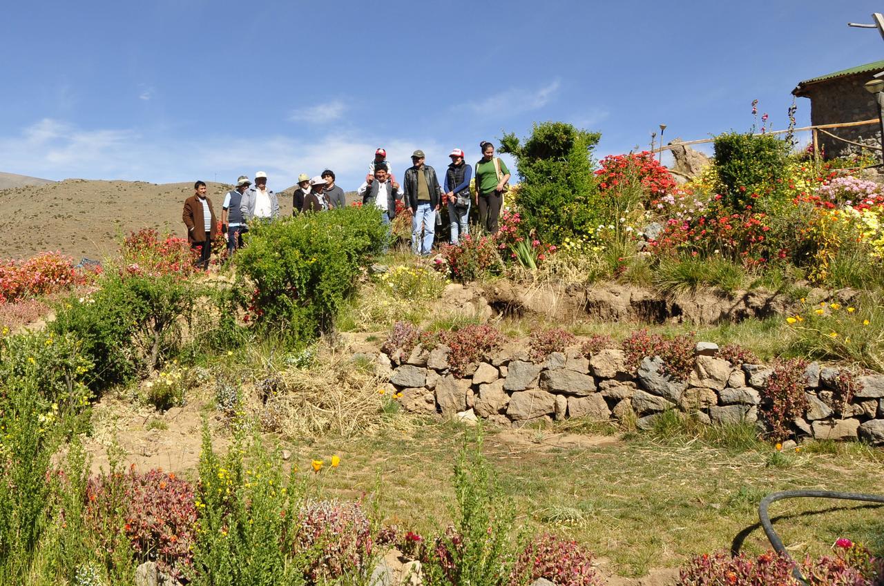 Villa La Granja del Colca Cabanaconde Exterior foto